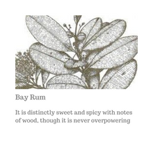 Load image into Gallery viewer, CANDLE - BAY RUM - soufflegrooming